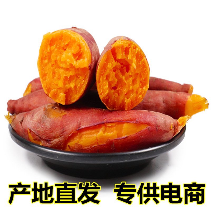 产地现挖福建六鳌红蜜薯新鲜沙地蜜薯番薯地瓜山芋5斤包邮