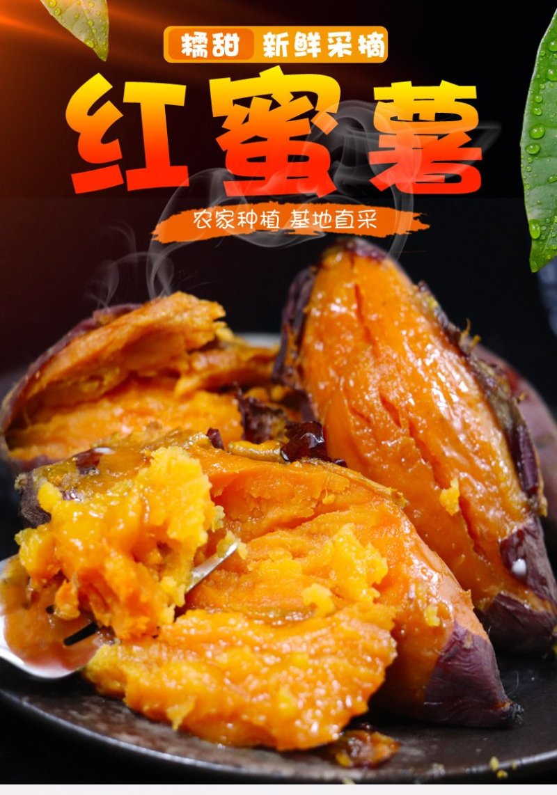 产地现挖福建六鳌红蜜薯新鲜沙地蜜薯番薯地瓜山芋5斤包邮