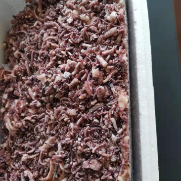 鱿鱼碎肉