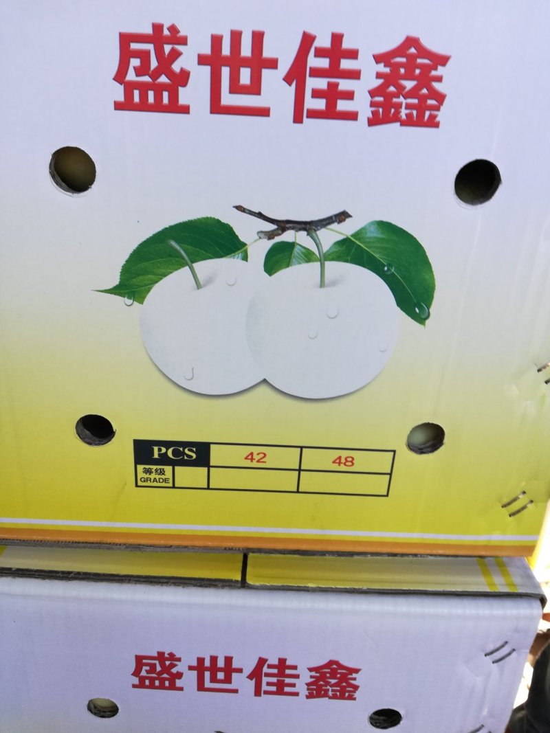 梨