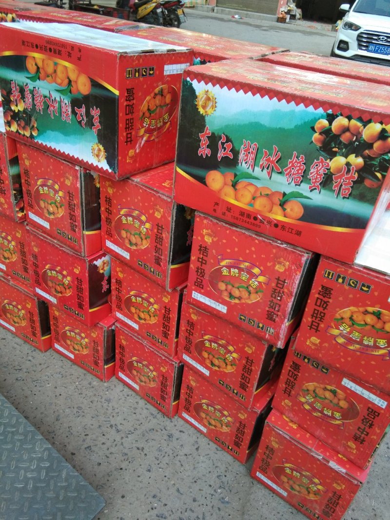 冰糖柑，麻阳专业代办诚信第一，欢迎批发商前来订购预定