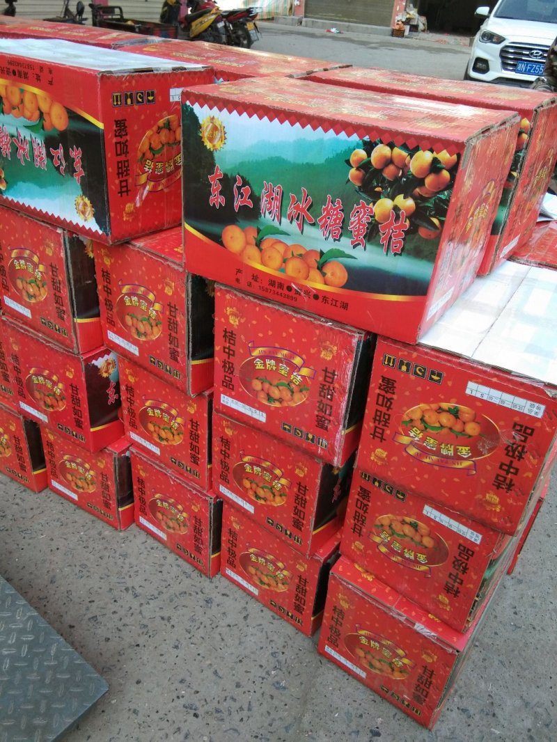 冰糖柑，麻阳专业代办诚信第一，欢迎批发商前来订购预定
