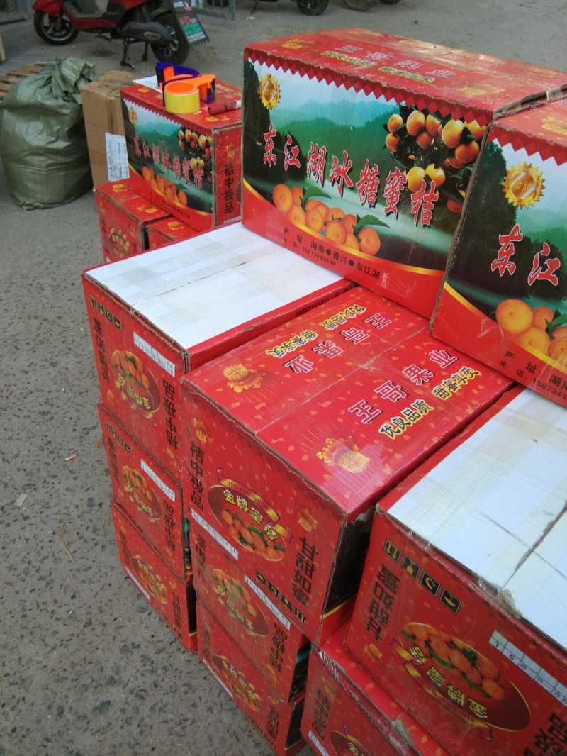 冰糖橙，麻阳专业代办诚信第一，欢迎批发商前来订购预定