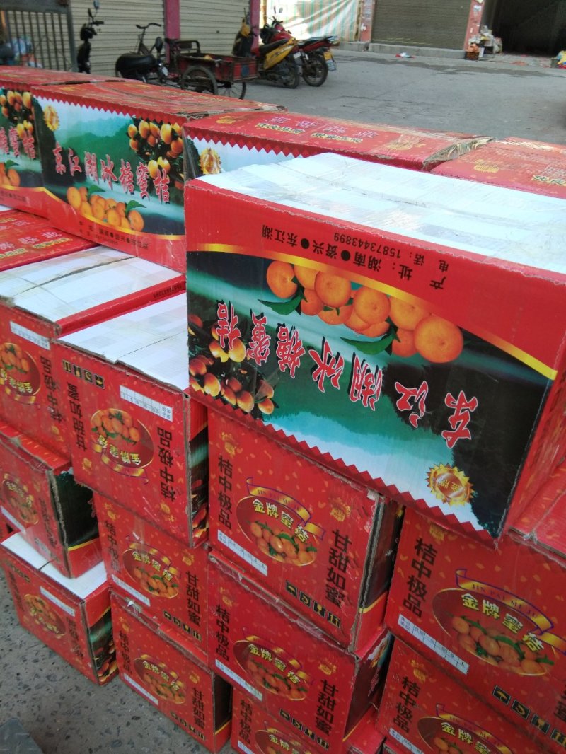 冰糖橙，麻阳专业代办诚信第一，欢迎批发商前来订购预定