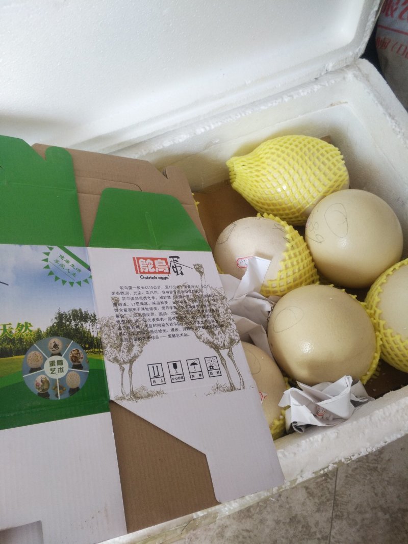 鸵鸟蛋，鸵鸟种蛋，鸵鸟食用蛋