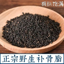 补骨脂黑故脂黑姑子无硫胡韭子破故纸