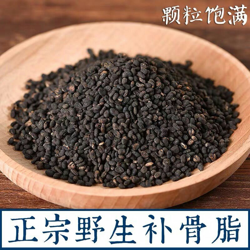 补骨脂黑故脂黑姑子无硫胡韭子破故纸