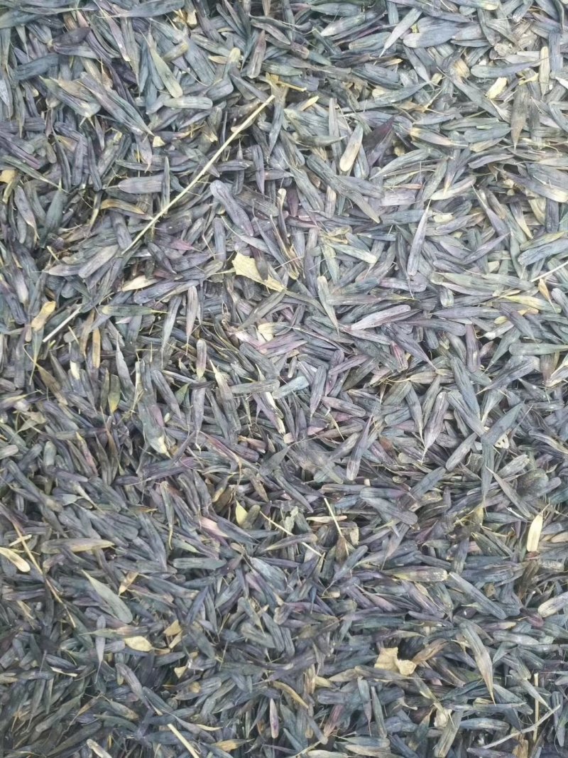板蓝根