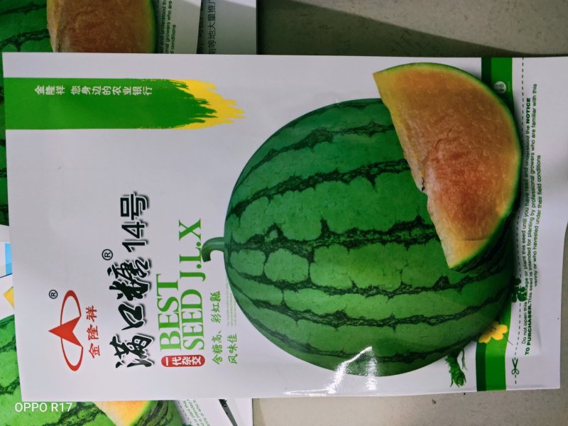 满口糖14西瓜种子/全国包邮/200粒/礼品小西瓜种子