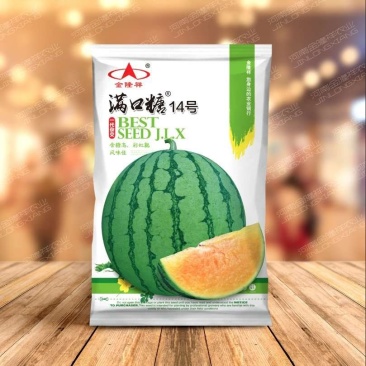 满口糖14西瓜种子/全国包邮/200粒/礼品小西瓜种子