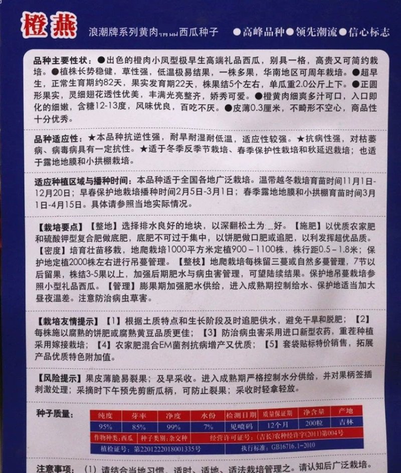 黑美金西瓜种子黑皮黄瓤黄肉薄皮西瓜早熟大果甜多汁大田水果
