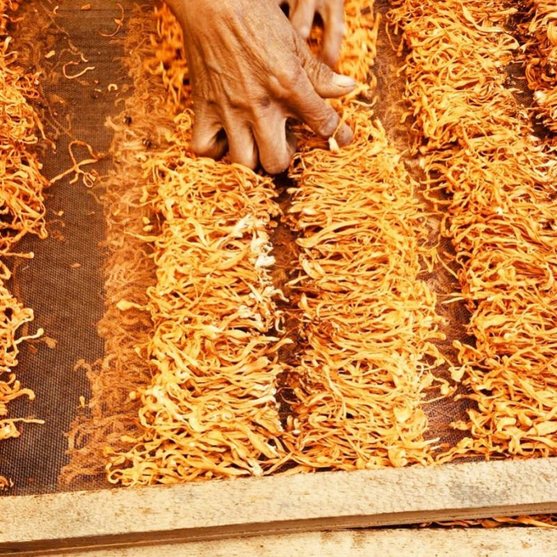 金虫草虫草花可炖汤煮水泡酒滋补一公斤一袋
