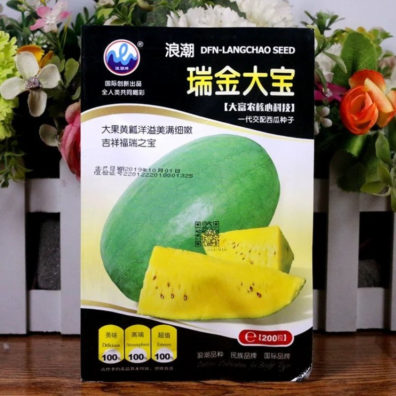 黑美金西瓜种子黑皮黄瓤黄肉薄皮西瓜早熟大果甜多汁大田水果