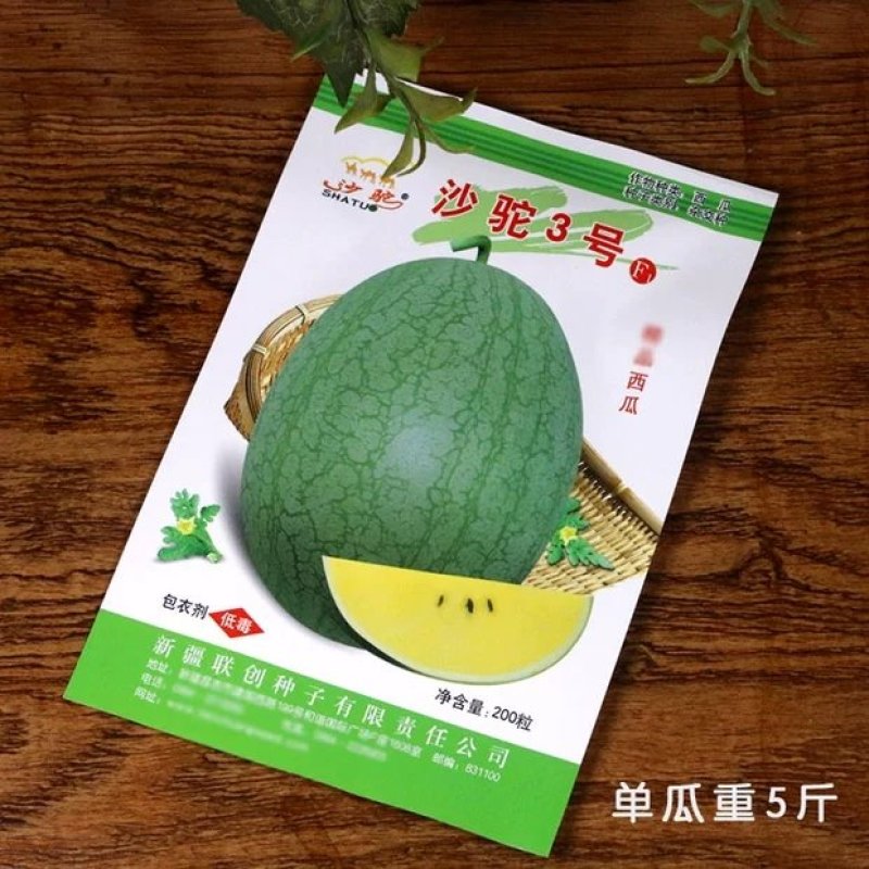黑美金西瓜种子黑皮黄瓤黄肉薄皮西瓜早熟大果甜多汁大田水果