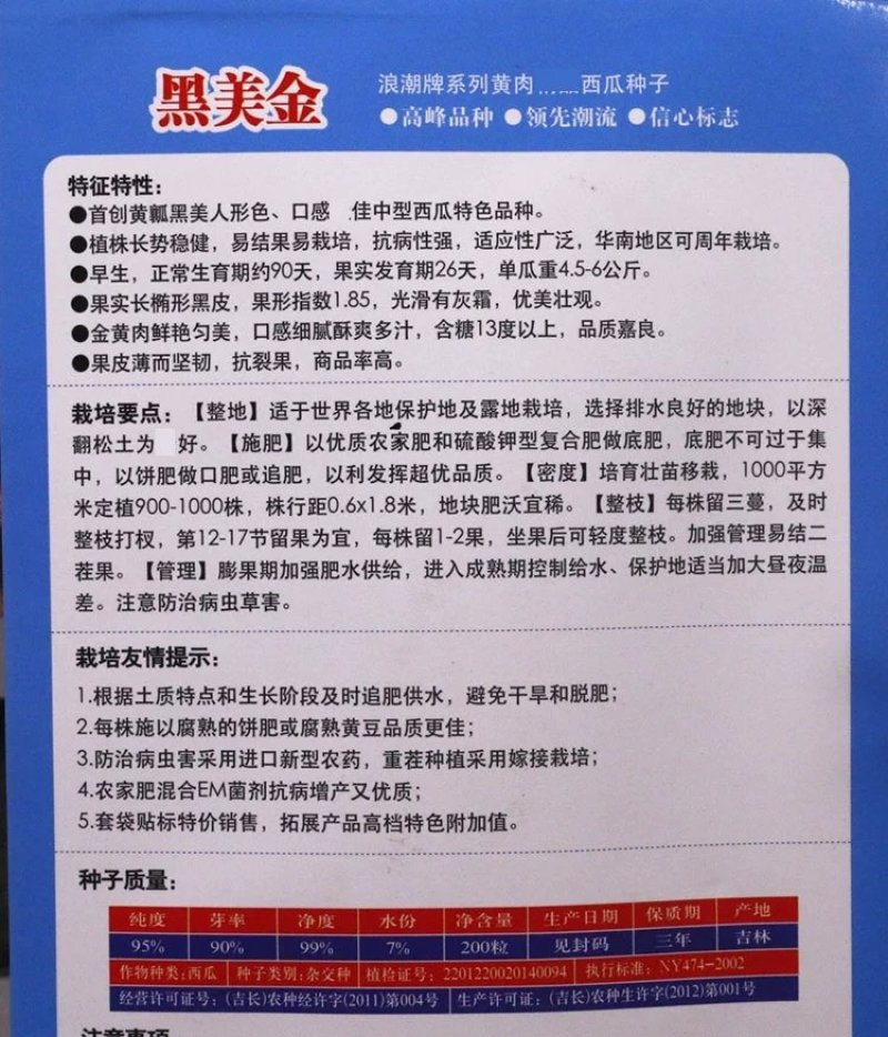 黑美金西瓜种子黑皮黄瓤黄肉薄皮西瓜早熟大果甜多汁大田水果