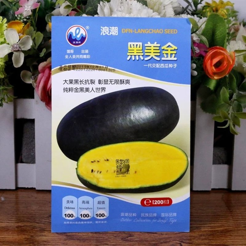 黑美金西瓜种子黑皮黄瓤黄肉薄皮西瓜早熟大果甜多汁大田水果