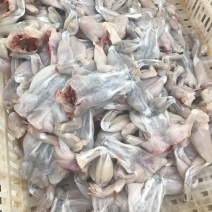 牛蛙，规格齐全，货源充足，支持电商一件代发