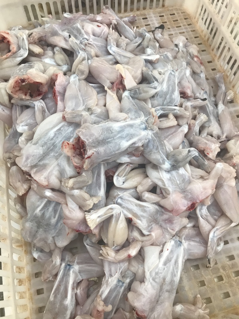 牛蛙，规格齐全，货源充足，支持电商一件代发