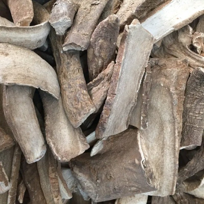 三分三大搜山虎山野烟野烟山茄子足两斤各种外用药材