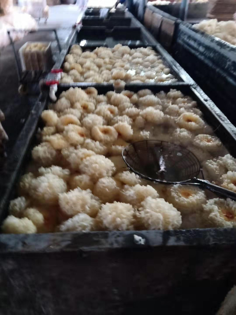 银耳，超大朵，古田银耳！产地直发，两朵一包！量大从优！