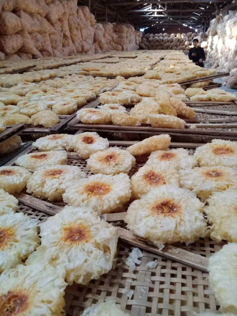 银耳，超大朵，古田银耳！产地直发，两朵一包！量大从优！