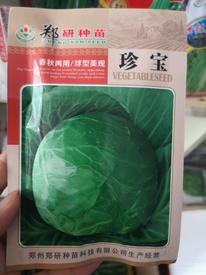珍宝甘蓝种子春秋两用球形美观绿叶层多口感脆甜