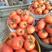 西红柿新鲜蔬菜水果沙瓤大番茄柿子大量上市小西红柿