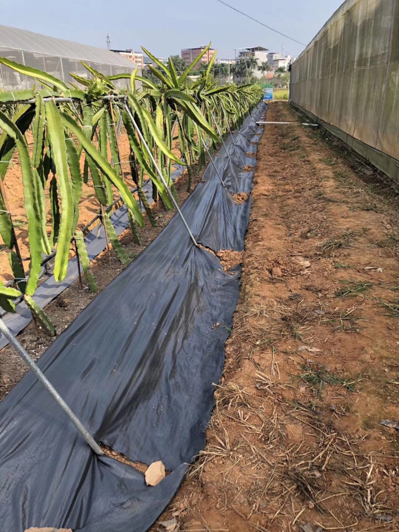 防草布除草布地布防草布大棚农用防草布