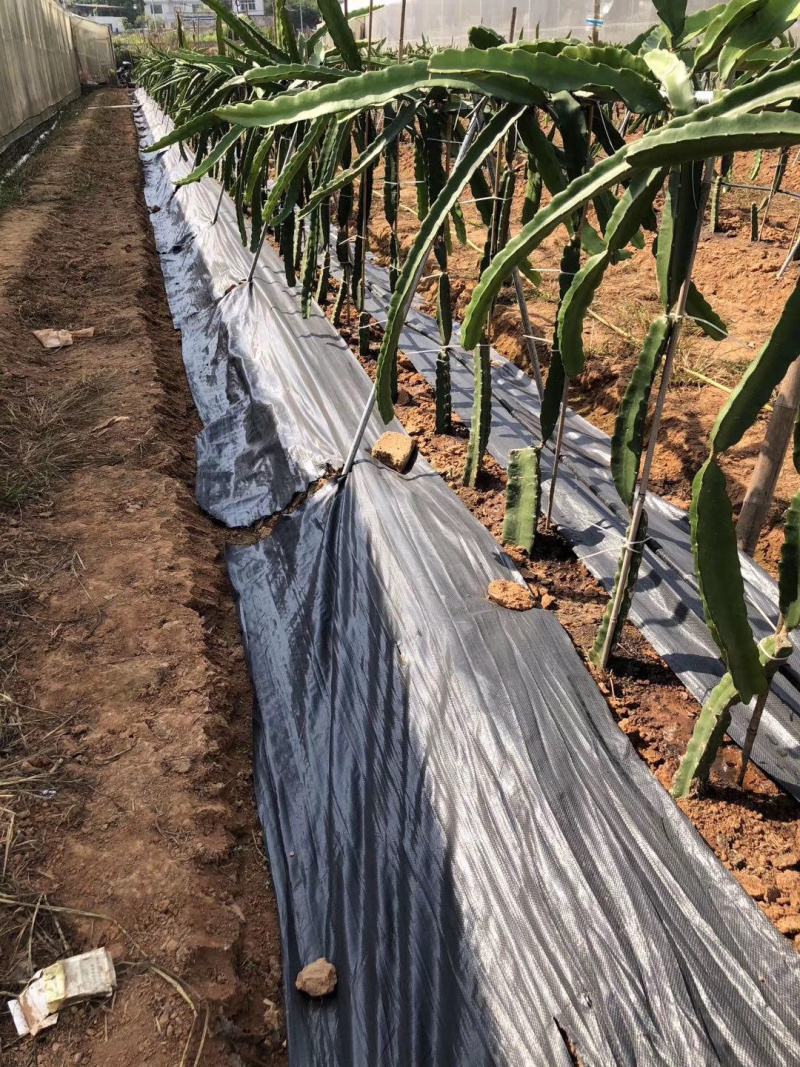 防草布除草布地布防草布大棚农用防草布