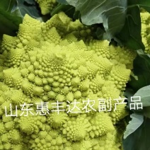 宝塔花菜新鲜蔬菜量大从优，无公害，无污染