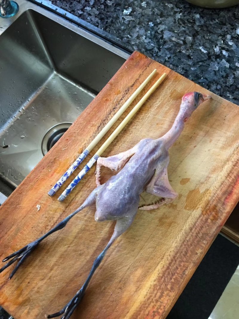 黑水鸡