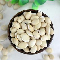 白扁豆炒白扁新货豆药食两用品种无硫净货籽类中药材