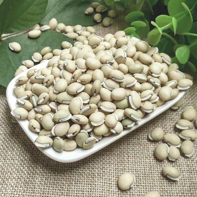 白扁豆炒白扁新货豆药食两用品种无硫净货籽类中药材