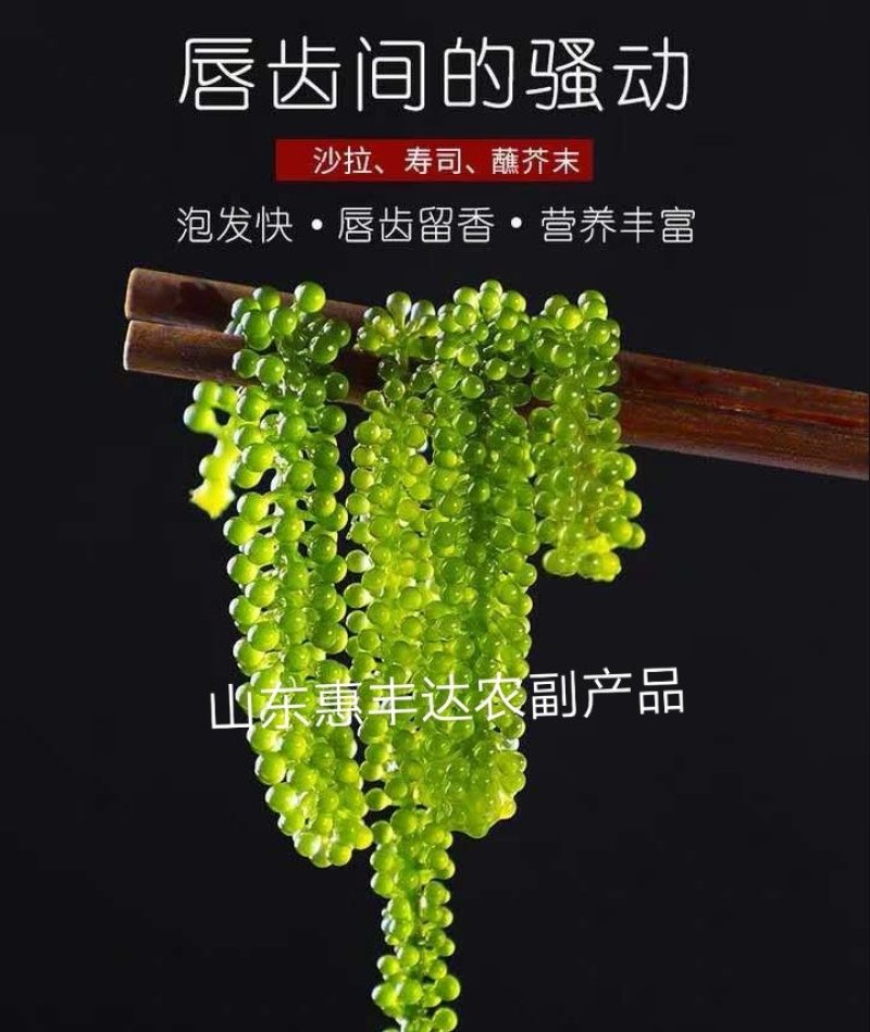 海葡萄新鲜即食海葡萄网红小零食天然无污染