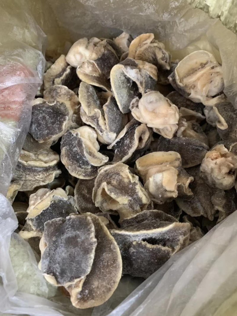新鲜冷冻香螺肉去内脏深海水产贝类玉螺肉海螺肉海螺肉