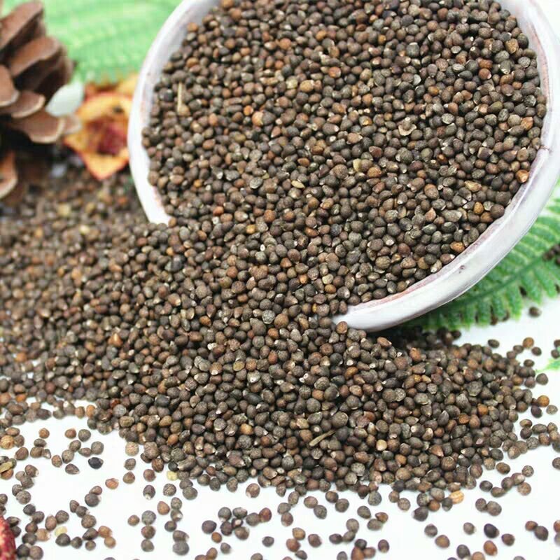 苏子紫苏子无硫净货紫苏子可供实体店批发零售