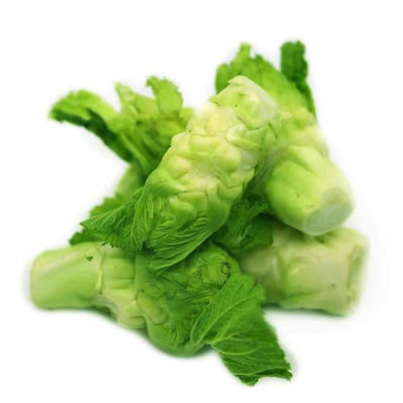 新鲜现砍儿菜量大从优欢迎选购小榨菜