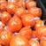 湖南纽荷尔脐橙细皮，水份足，口感香甜，对接商超批发商