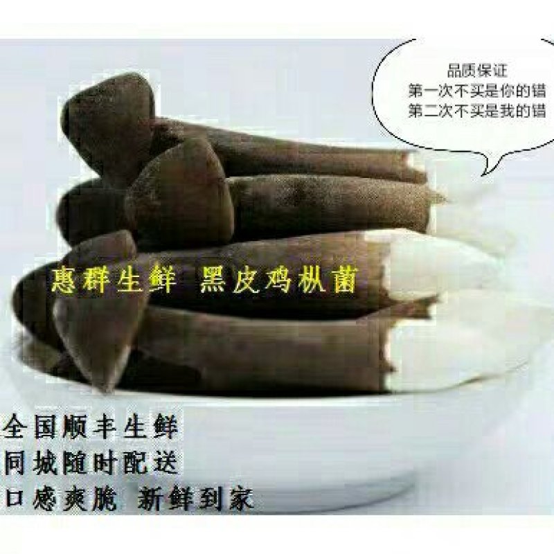 黑皮鸡枞