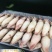 《有好货》精品饱满海兔