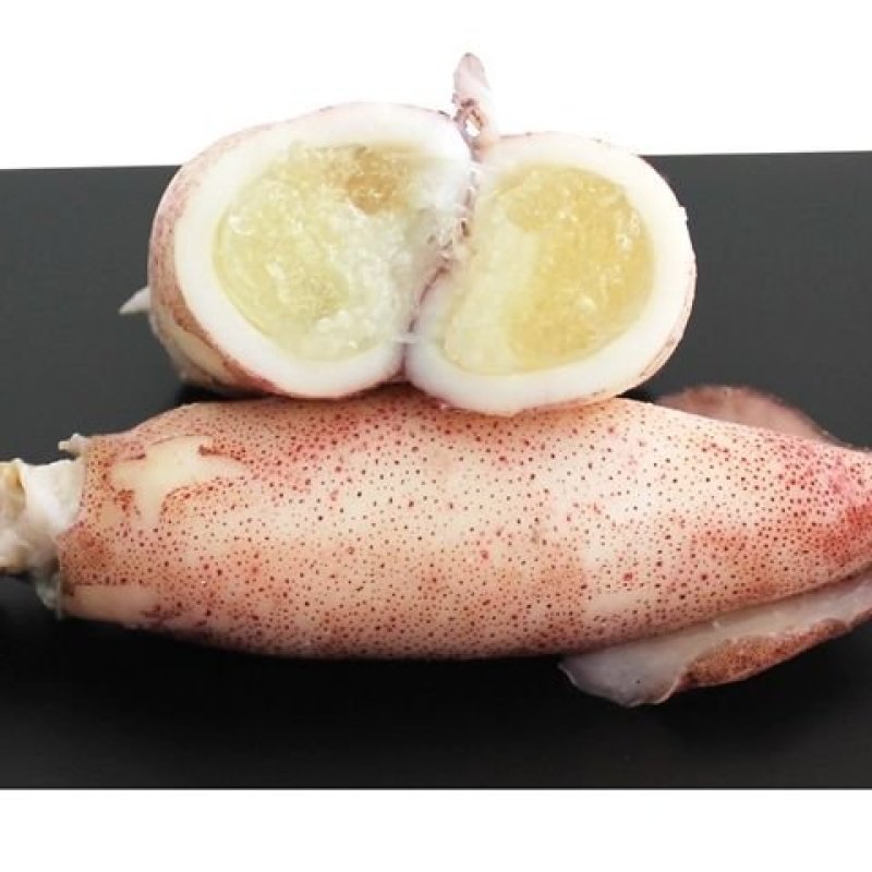 《有好货》精品饱满海兔