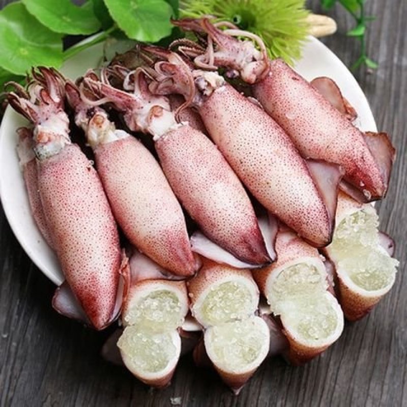 《有好货》精品饱满海兔