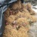 湖南一年生猕猴桃实生苗，产地直供，价格合理，支持线上交易