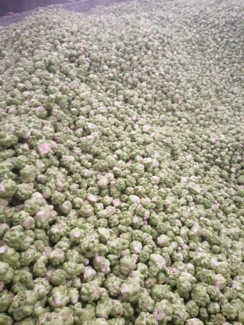 榨菜头