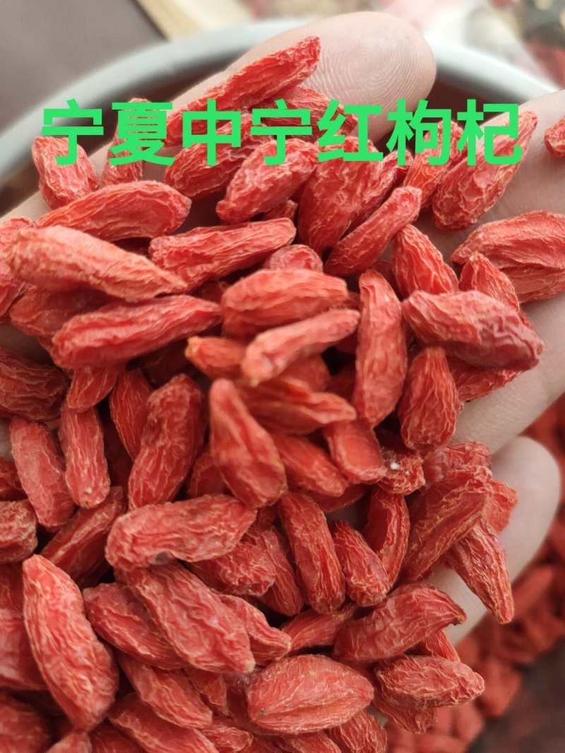宁夏枸杞中宁枸杞黑枸杞大量批发新店开业全部特价