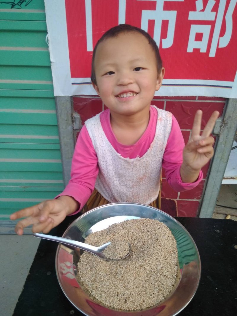 白芝麻本地货含杂不超1%常年有货可供大货