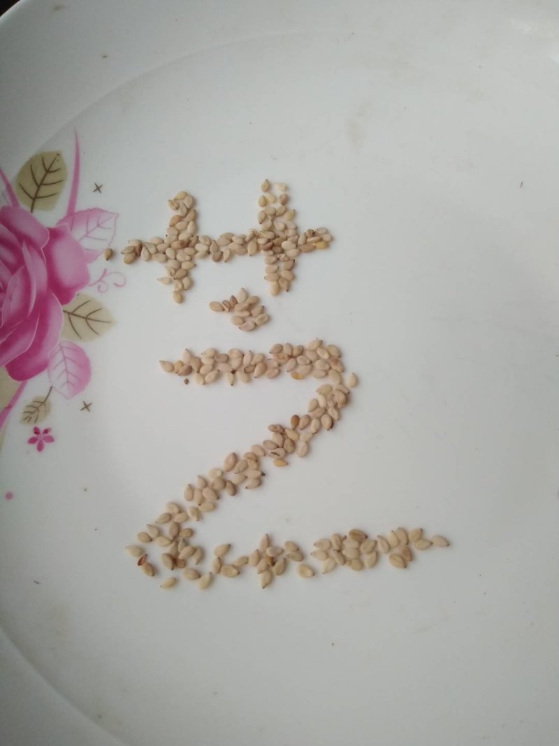 白芝麻本地货含杂不超1%常年有货可供大货
