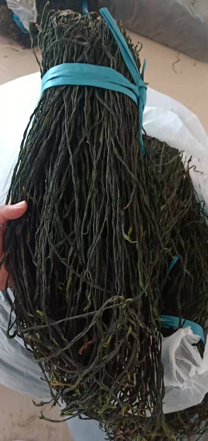精品干豆角