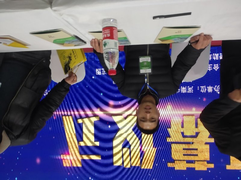 预订2025年商薯19红薯苗厂家批发价20~25cm
