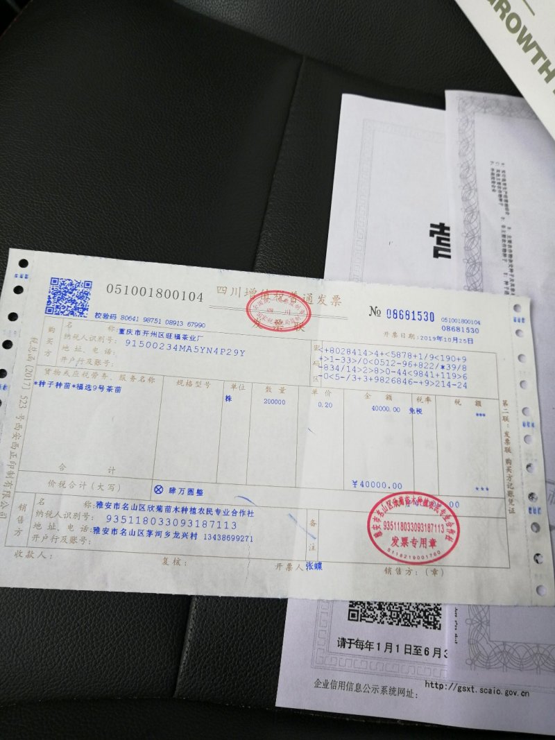 耙耙柑，春见甜蜜蜜耙耙柑